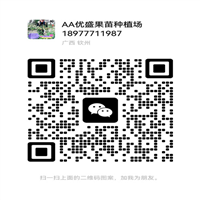 广西灵山果苗场