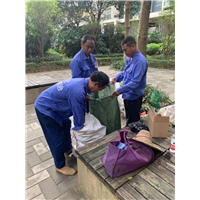 南宁市小区白蚁防治
