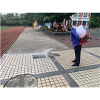 南宁灭苍蝇