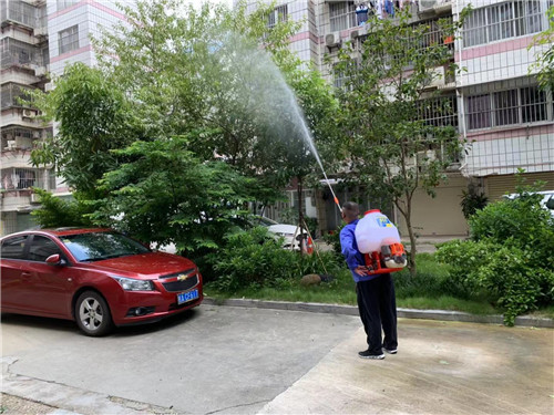 南宁白蚁防治施工1