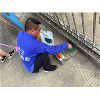 南宁白蚁防治简单有效方法
