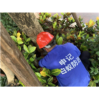 白蚁诱杀箱|南宁白蚁防治公司