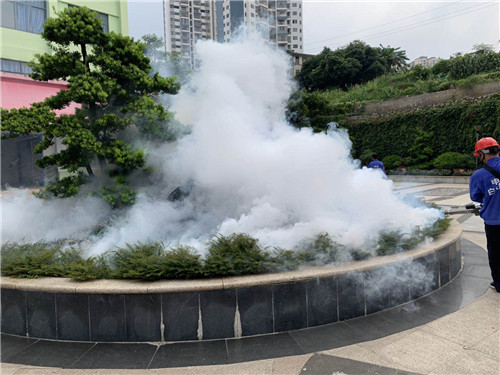 南宁白蚁灭治|南宁白蚁防治 