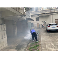 南宁专业治理白蚁
