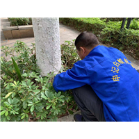 南宁白蚁防治21