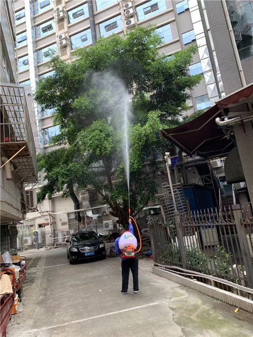 南宁白蚁防治施工2