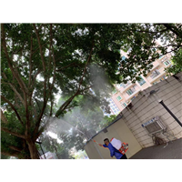 南宁白蚁防治公司