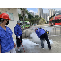 南宁白蚁防治价格