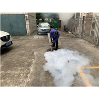 南宁专业灭白蚁