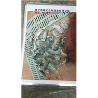 南宁灭鼠公司