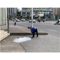 南宁灭老鼠|南宁灭鼠