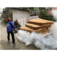 南宁灭苍蝇|南宁申记白蚁防治