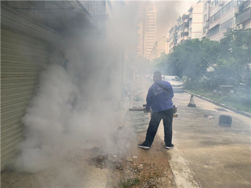 南宁白蚁防治怎么收费