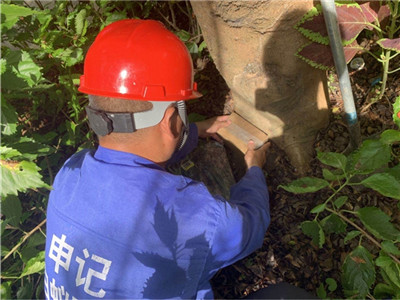 白蚁诱杀箱|南宁白蚁防治灭治