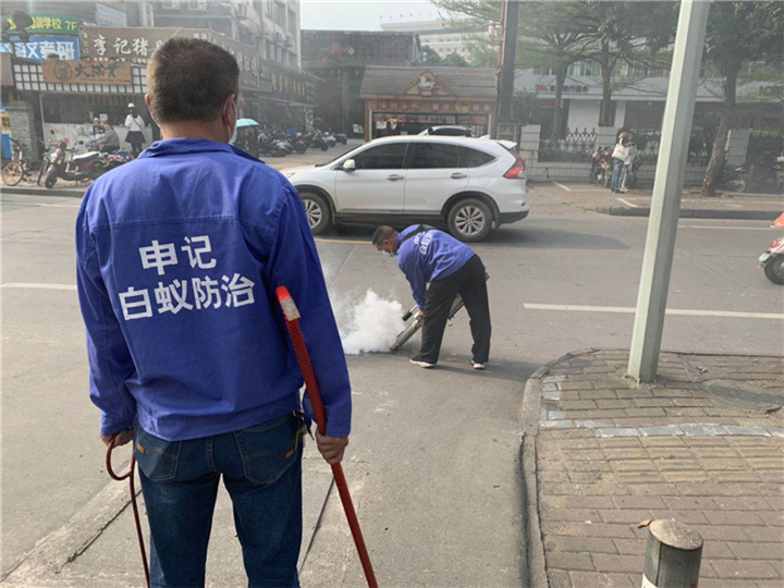 南宁灭苍蝇电话