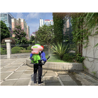 南宁市白蚁防治