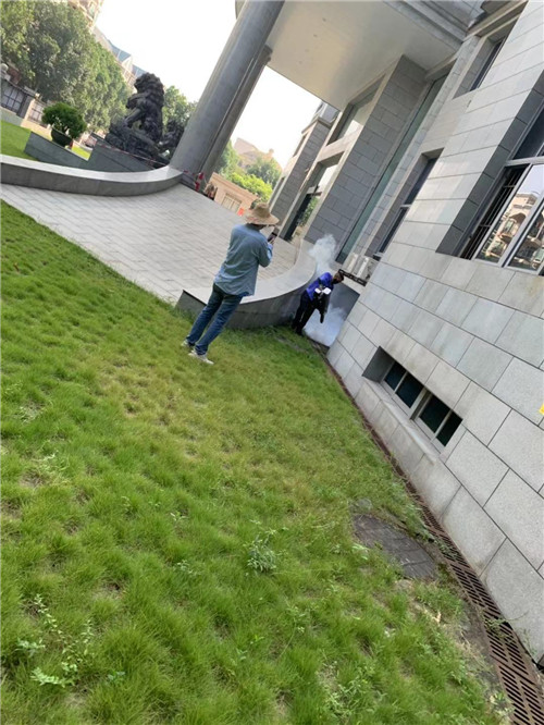 南宁白蚁防治电话、南宁白蚁防治