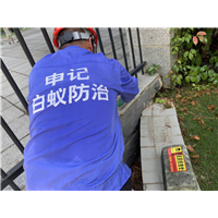 南宁白蚁防治