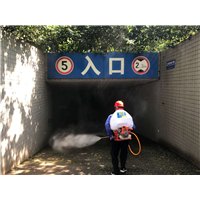 南宁白蚁防治