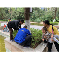 南宁白蚁防治11