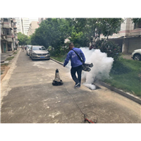 南宁专业白蚁防治