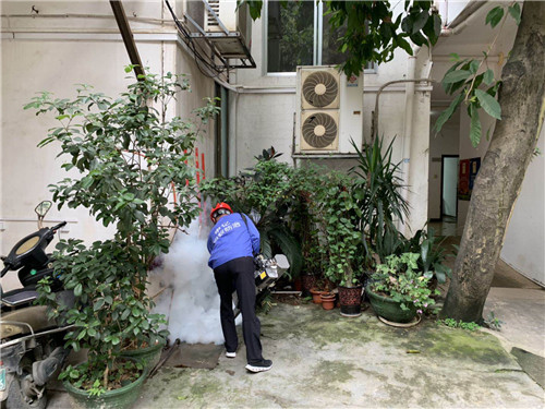 南宁杀白蚁-申记白蚁防治