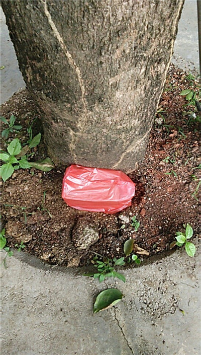 白蚁诱杀箱-南宁除白蚁