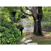 南宁市白蚁防治整治