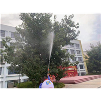 南宁灭蟑螂