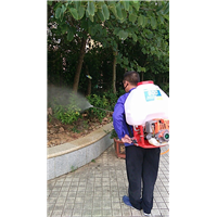 南宁白蚁防治公司-广西白蚁防治公司