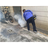 南宁小区白蚁整治