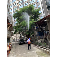 南宁白蚁防治施工2