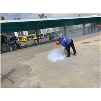 南宁白蚁专业防治