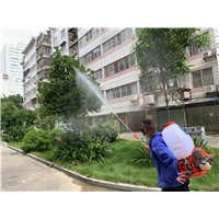 南宁白蚁灭治施工中心