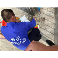 南宁专业上门白蚁防治