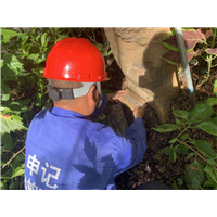 白蚁诱杀箱|南宁白蚁防治灭治