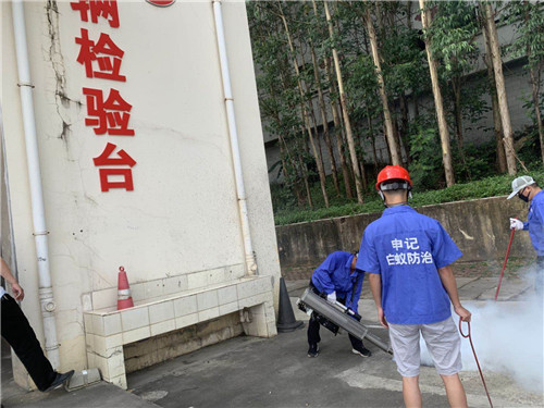 南宁白蚁防治消杀