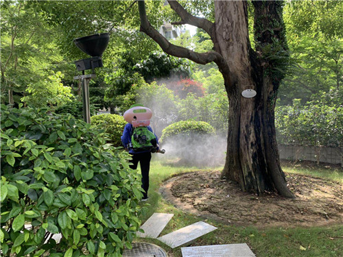 南宁市白蚁防治整治