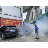 南宁白蚁防治哪家实惠