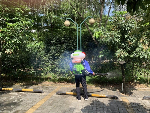 南宁园区白蚁防治