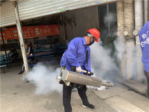 南宁专业白蚁防治