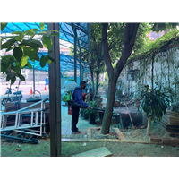 南宁白蚁防治公司