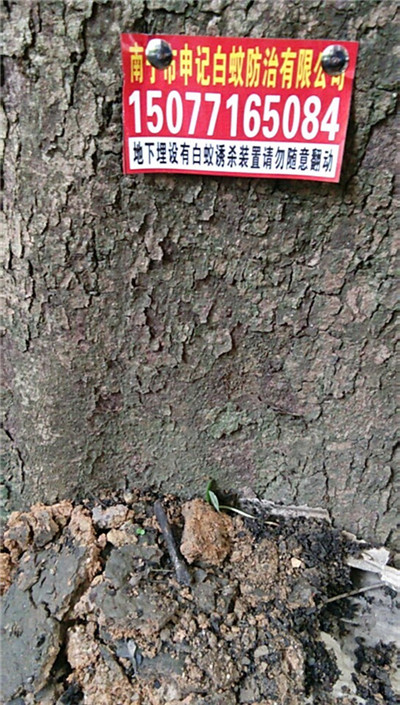 白蚁诱杀箱-南宁杀白蚁