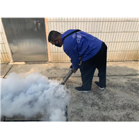 南宁小区白蚁灭治 