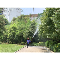 南宁白蚁防治公司