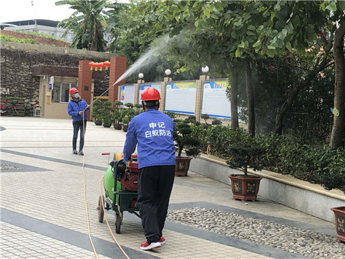 南宁白蚁防治-南宁申记白蚁防治