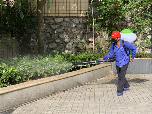 南宁白蚁防治