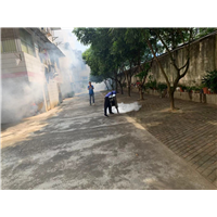 南宁市白蚁防治电话
