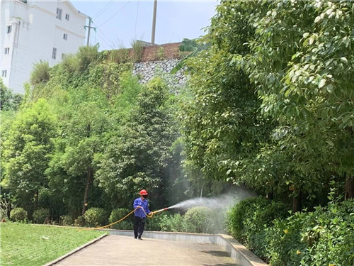 南宁白蚁诱杀价格
