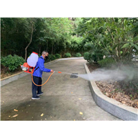 南宁灭蟑螂公司